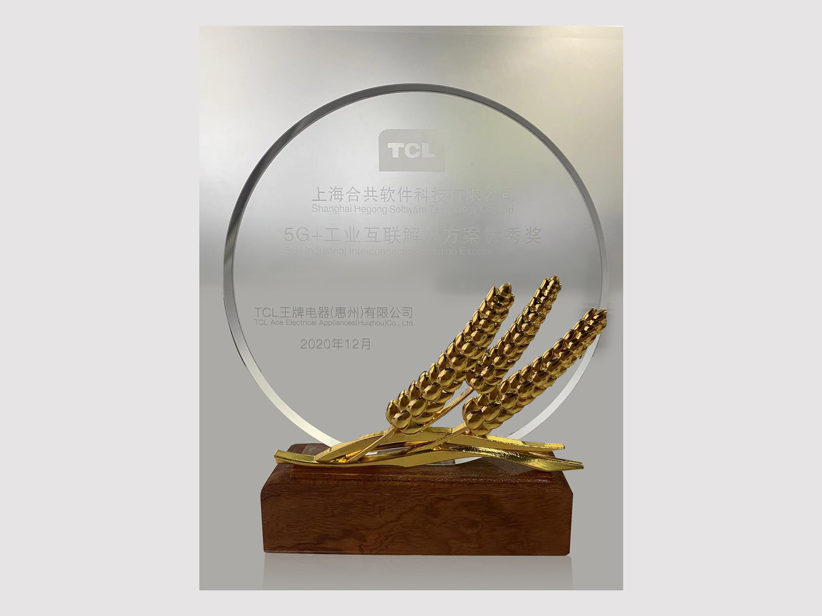 工業(yè)互聯(lián)網(wǎng)優(yōu)秀獎